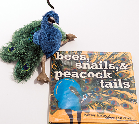 Small Peacock Puppet Small Peacock Puppet