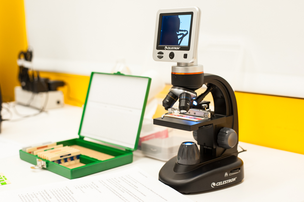 Microscope with slides