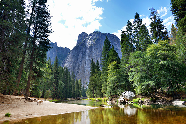 A mountainous structure surrounded by tall pine trees with a shallow river in the forefront. The sky is sunny and blue.