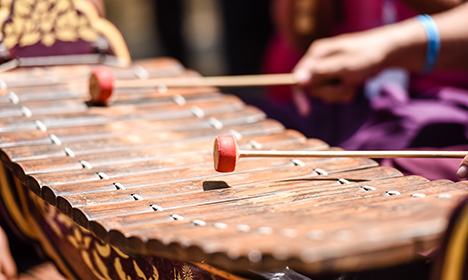 close up of hands playing the Roneat