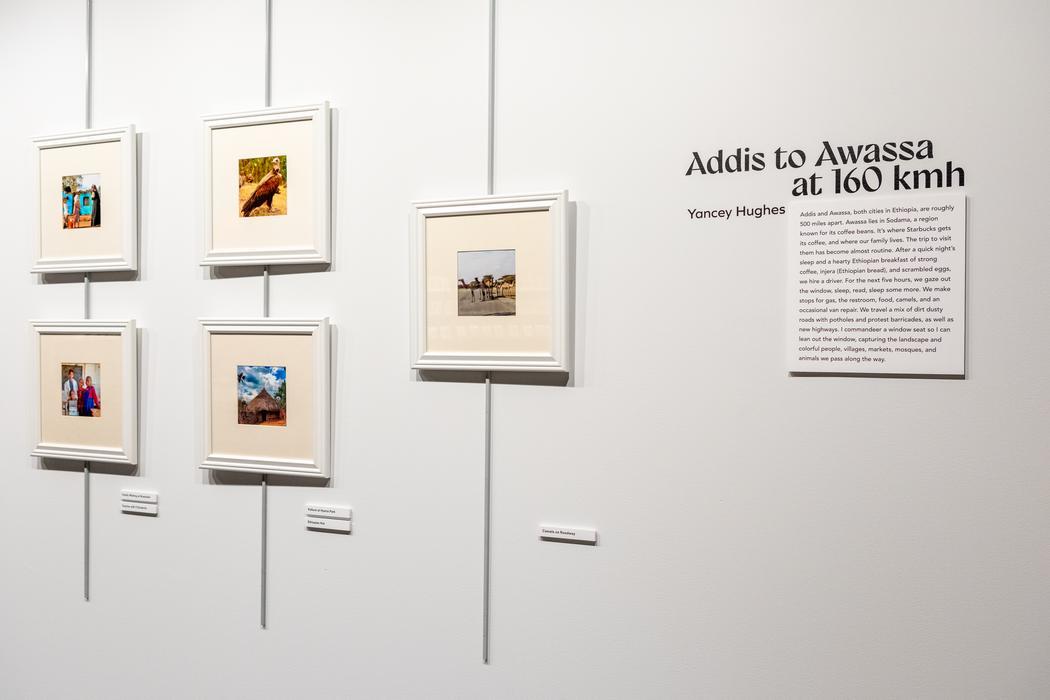 A group of five square photos hanging on a white wall