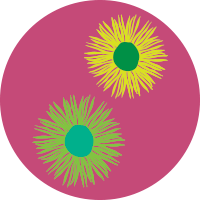 A drawing of two green daisy-shaped flowers on a pink circle-shaped background